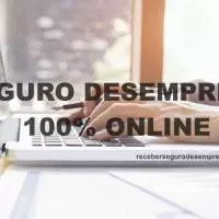 Solicitação Seguro Desemprego 100% pela internet